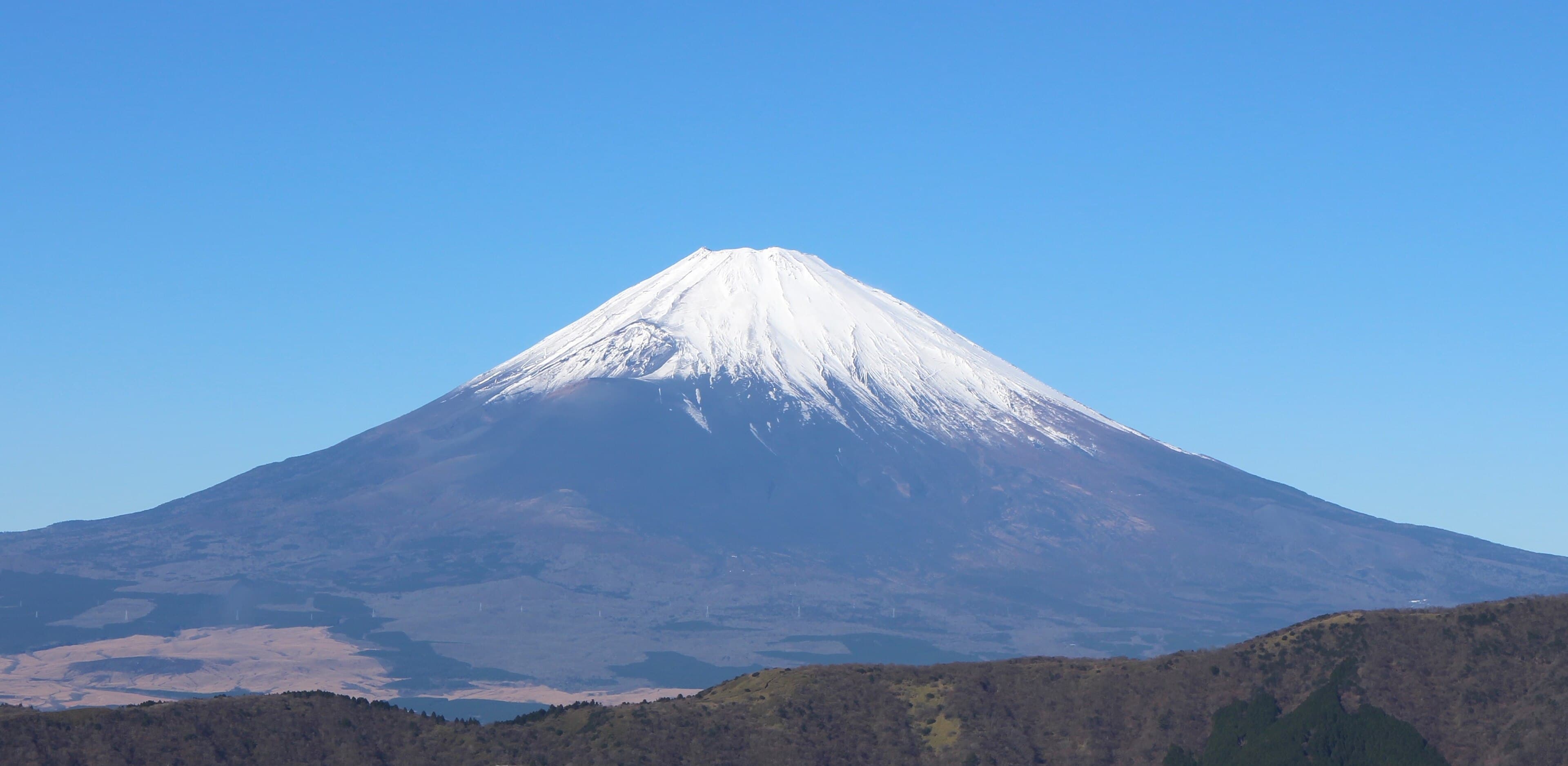 Japan Cherry Blossom Luxury Tour tour package