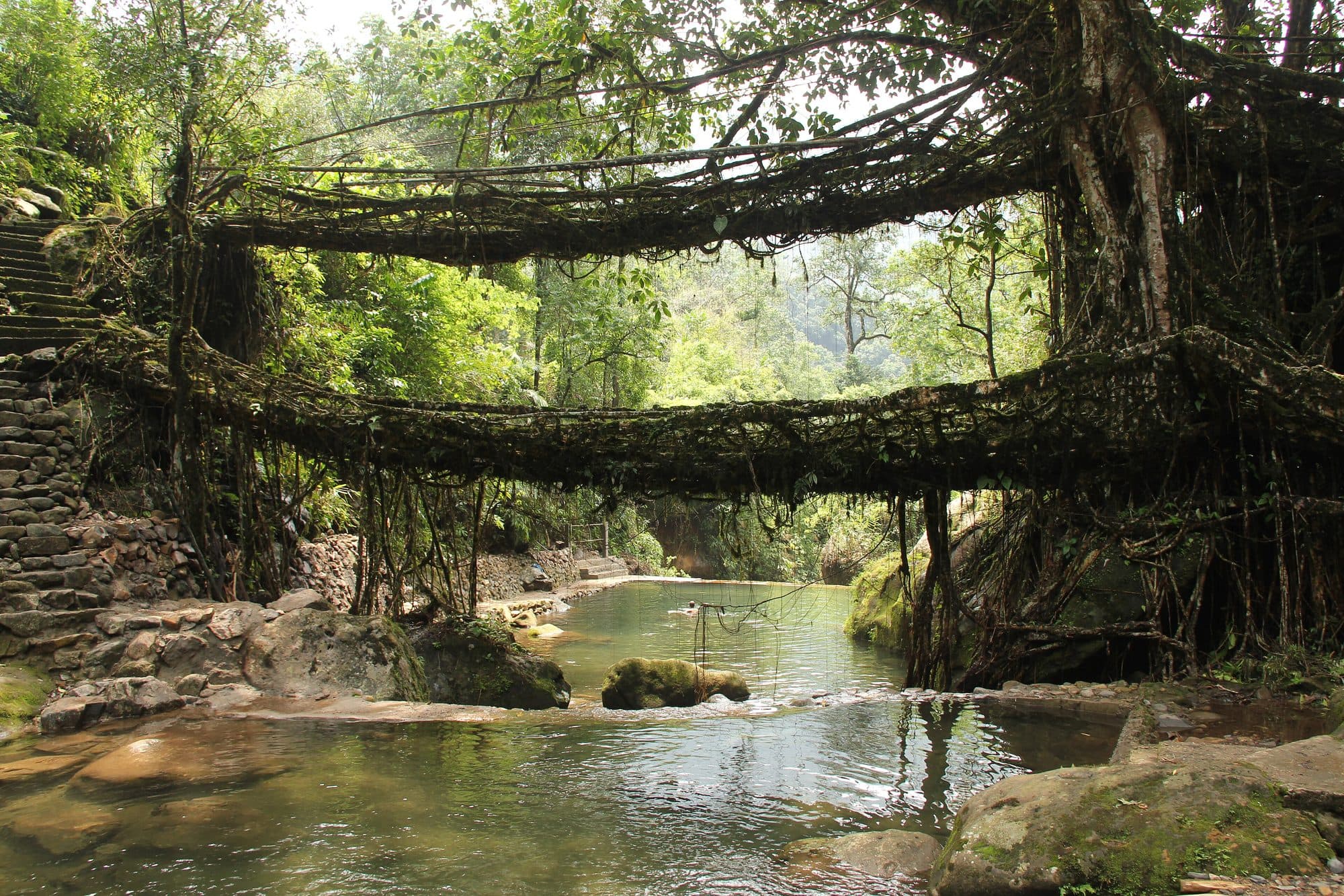 Meghalaya Living Root Bridges Tour tour package
