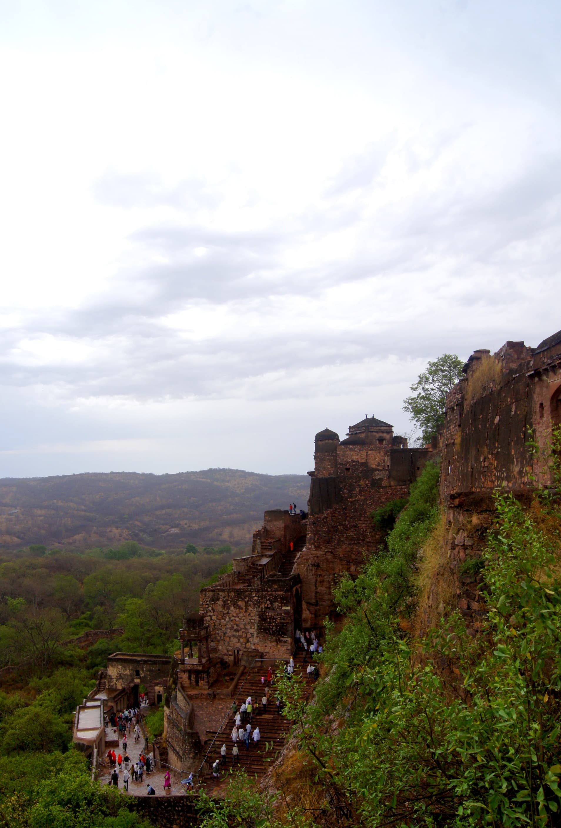Ranthambore Tiger Reserve Safari tour package
