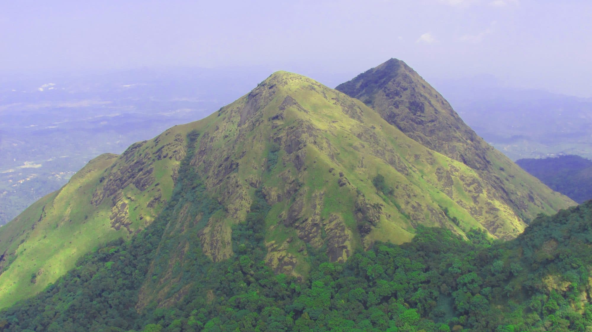 Wayanad Wildlife & Nature Tour tour package